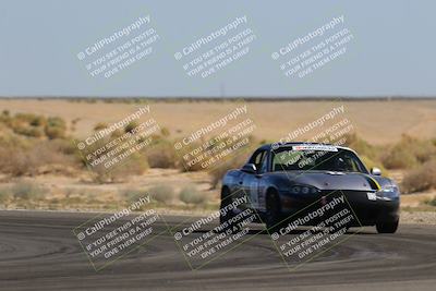 media/Oct-14-2023-Lucky Dog Racing (Sat) [[cef75db616]]/2nd Stint Turn 16/